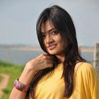 Nikitha Narayan Latest Stills | Picture 125740